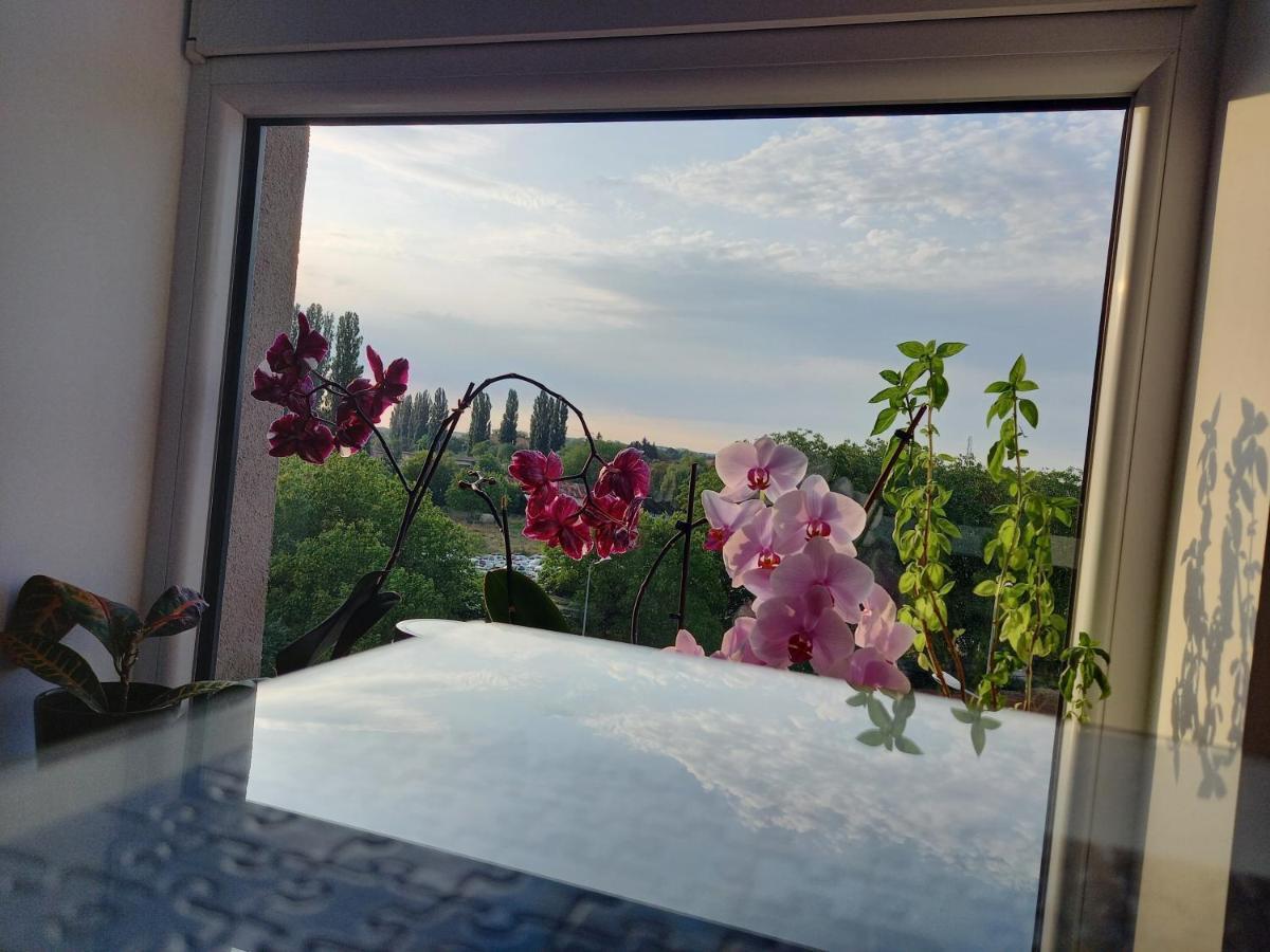 Lavanda Apartment Oradea Εξωτερικό φωτογραφία